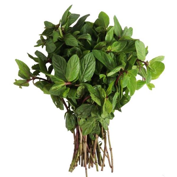 Menta